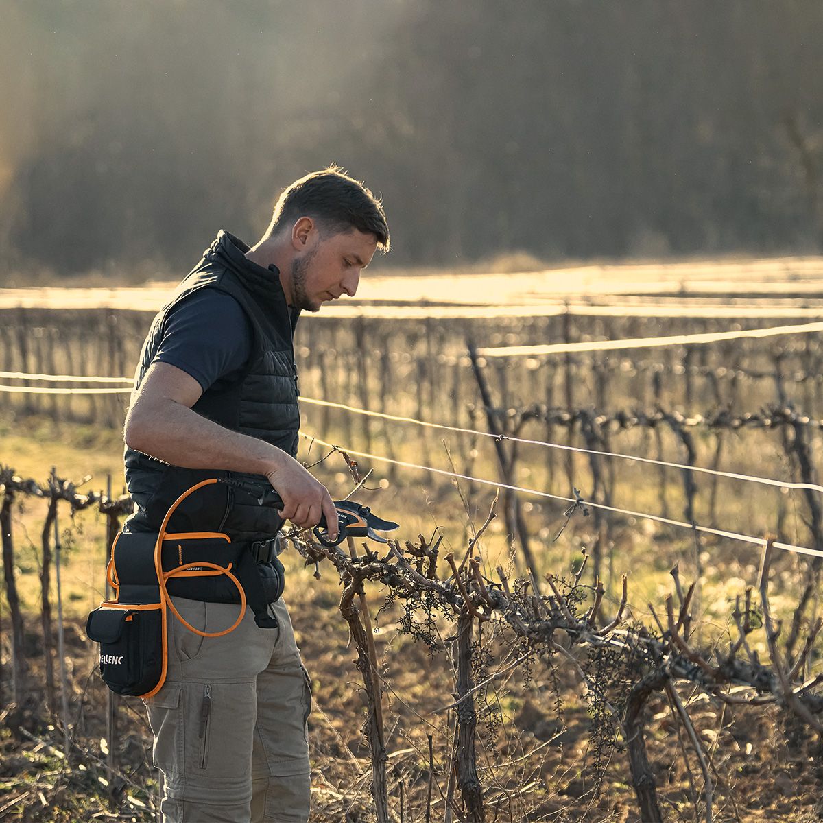 PRUNER C35-ULIB 150