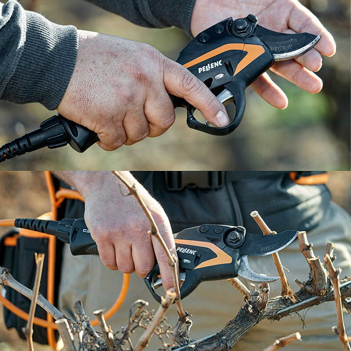 PRUNER C45 - ULIB 250