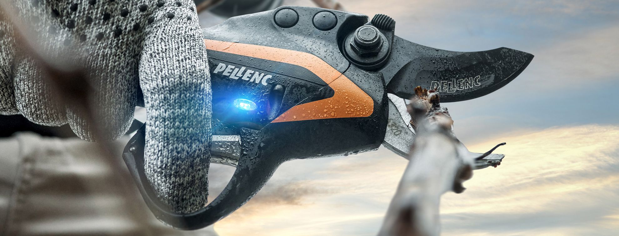 PRUNER C45 - ULIB 250