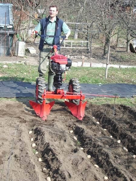 HROBKOVACIA RADLICA VARI/AG