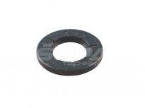 BR-GUFERO